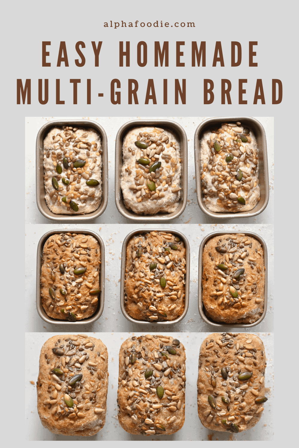 Simple Homemade Multigrain Bread Recipe - Alphafoodie