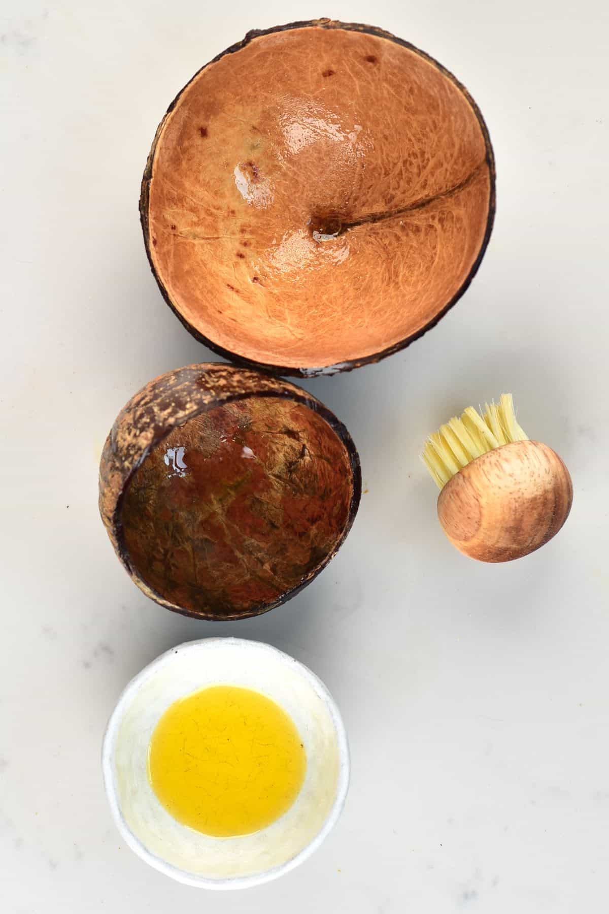 Coconut Shell Dessert Bowl