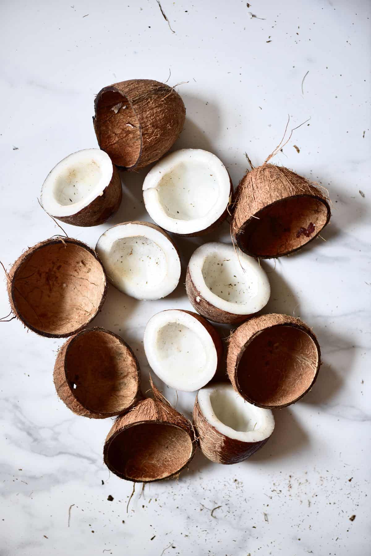 5 ways coconut shells can spruce up your home decor