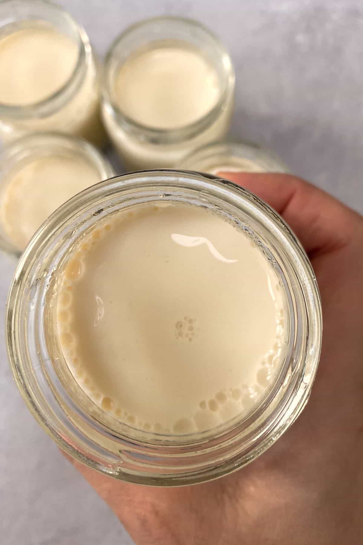 Ultimate Yogurt Jars - Make More Delicious Yogurt! 8 Count Small Glass  Yogurt Containers With Lids - 100% BPA Free, Airtight & Dishwasher Safe!