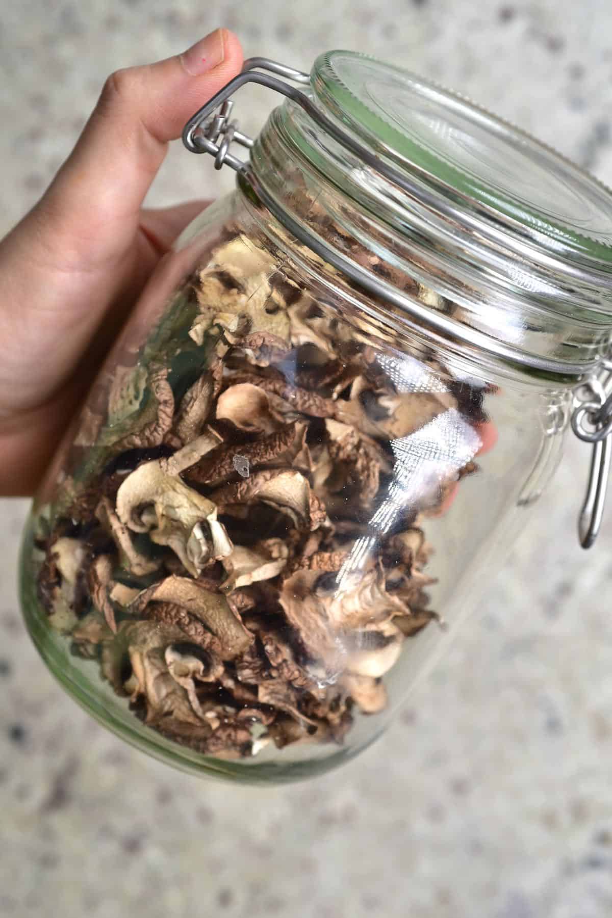 https://www.alphafoodie.com/wp-content/uploads/2021/02/How-to-Dry-mushrooms-5-of-5.jpeg
