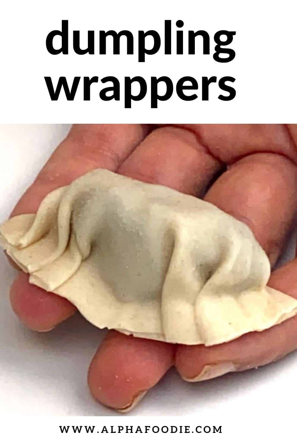 How to Make Dumpling Wrappers (Potsticker, Wonton, Gyoza)