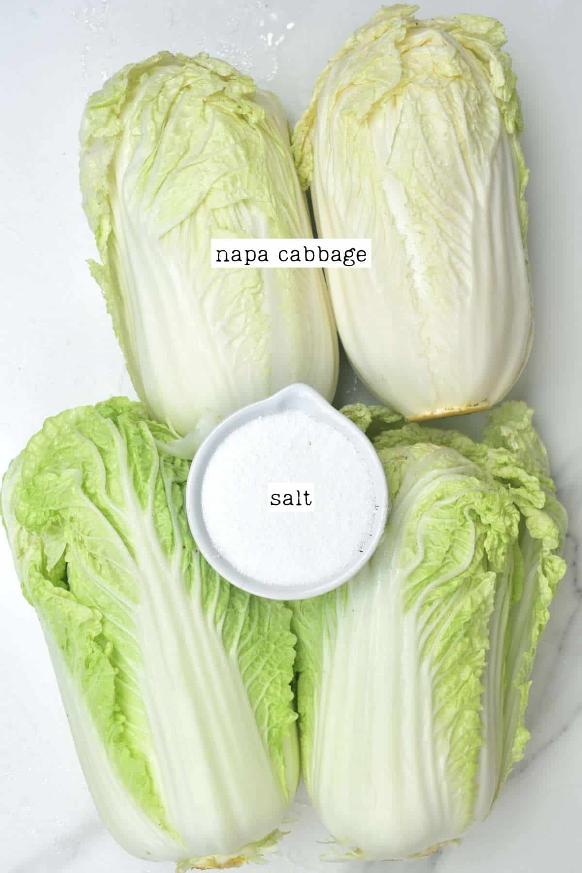 Napa Cabbage Kimchi (Korean Baechu-Kimchi) - Alphafoodie