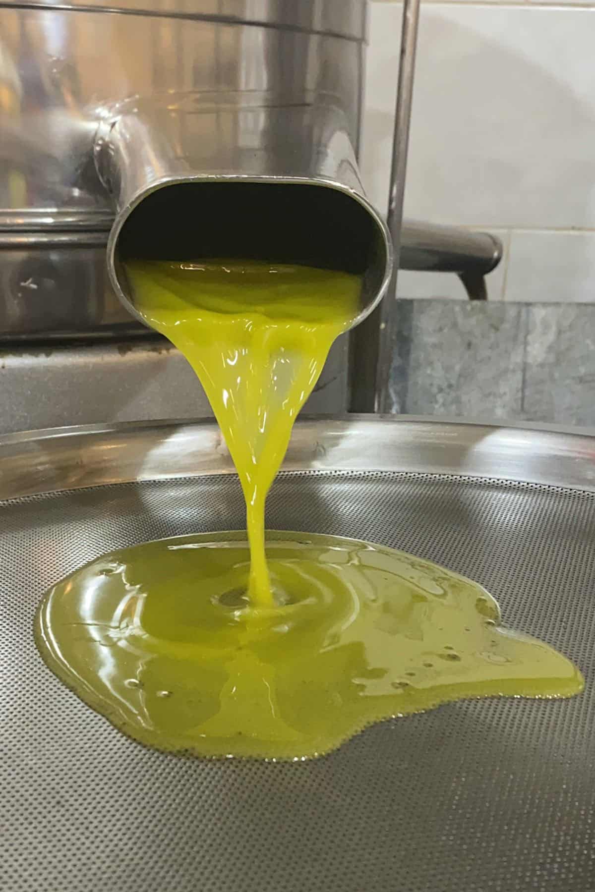 How is Olive Oil Made?