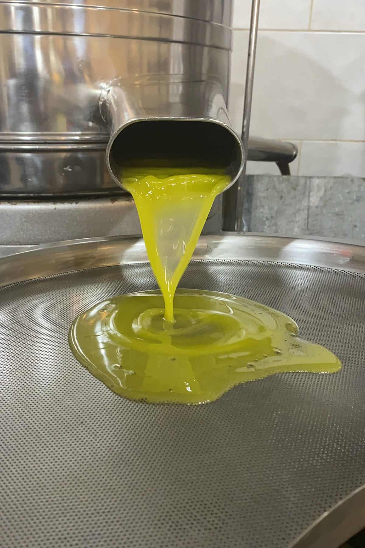 Why Does Extra Virgin Olive Oil Solidify?