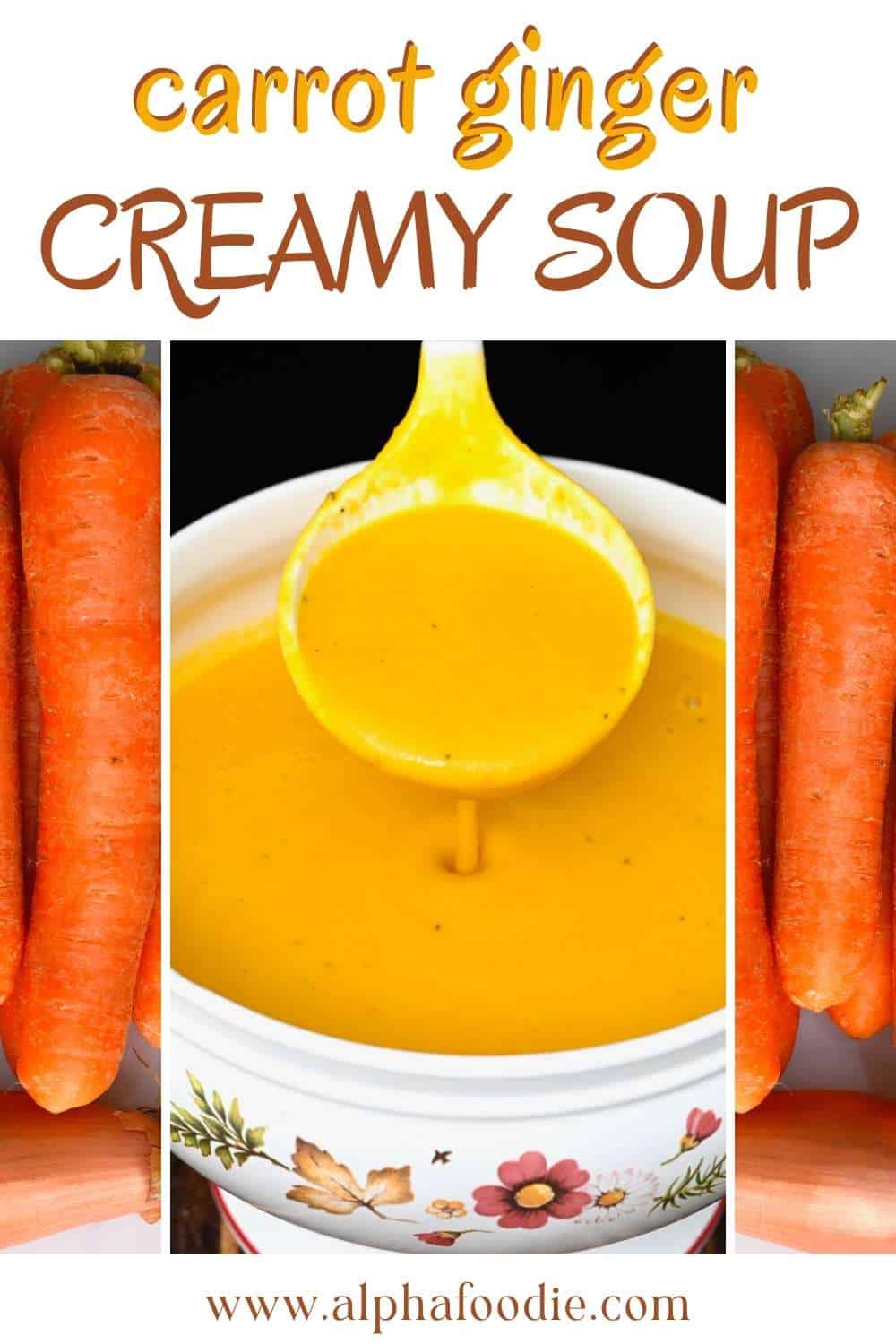 Carrot Ginger Soup (Stove, Instant Pot, and Crockpot | Vegan Option ...