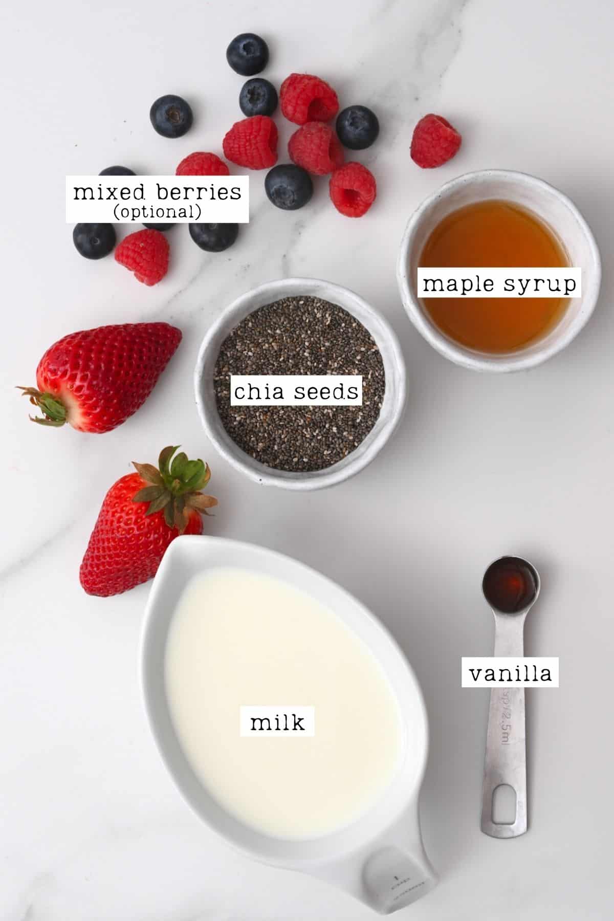 https://www.alphafoodie.com/wp-content/uploads/2022/03/How-to-Make-Chia-Pudding-Ingredients-for-chia-seeds.jpeg