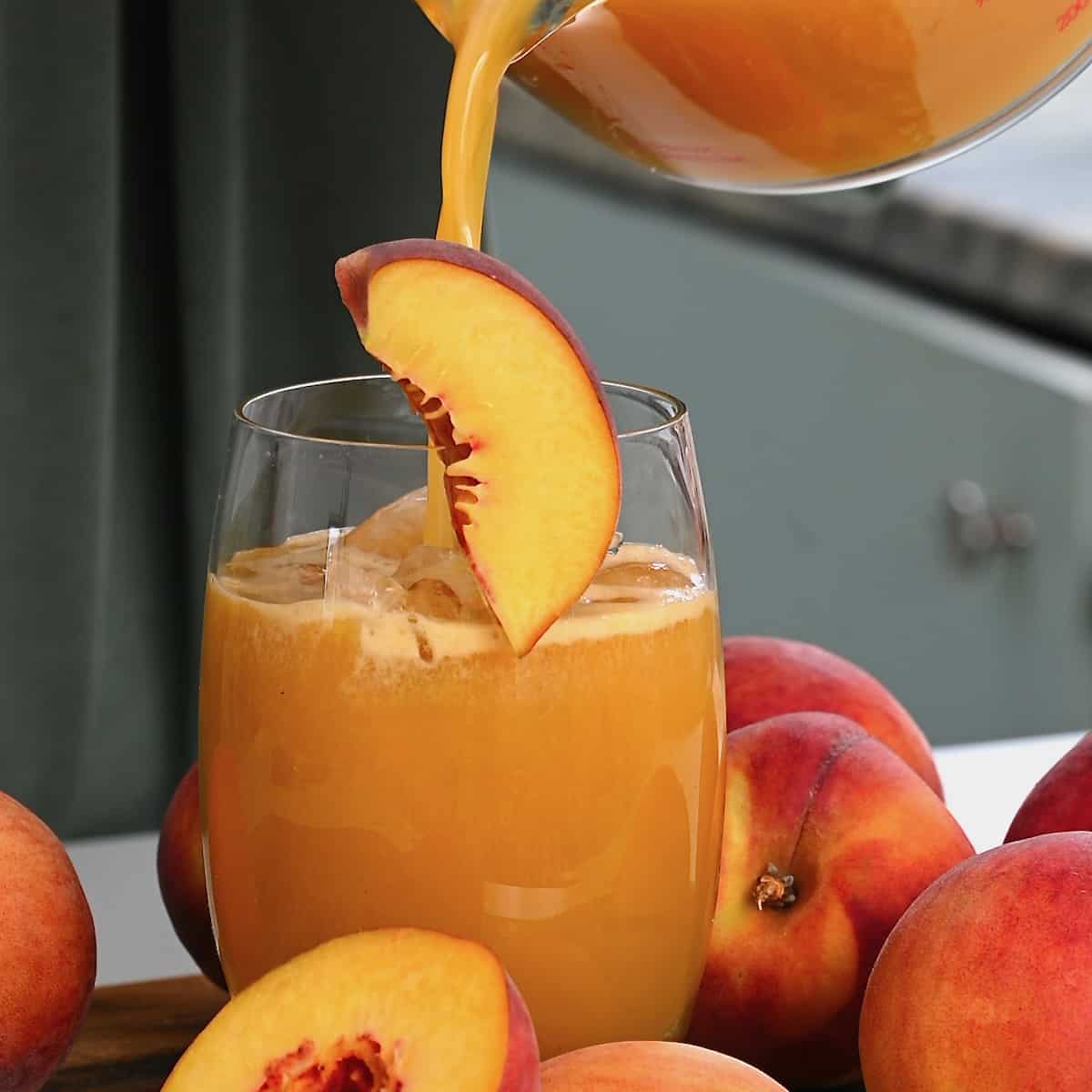 Organic Peach Apricot Nectar Tea