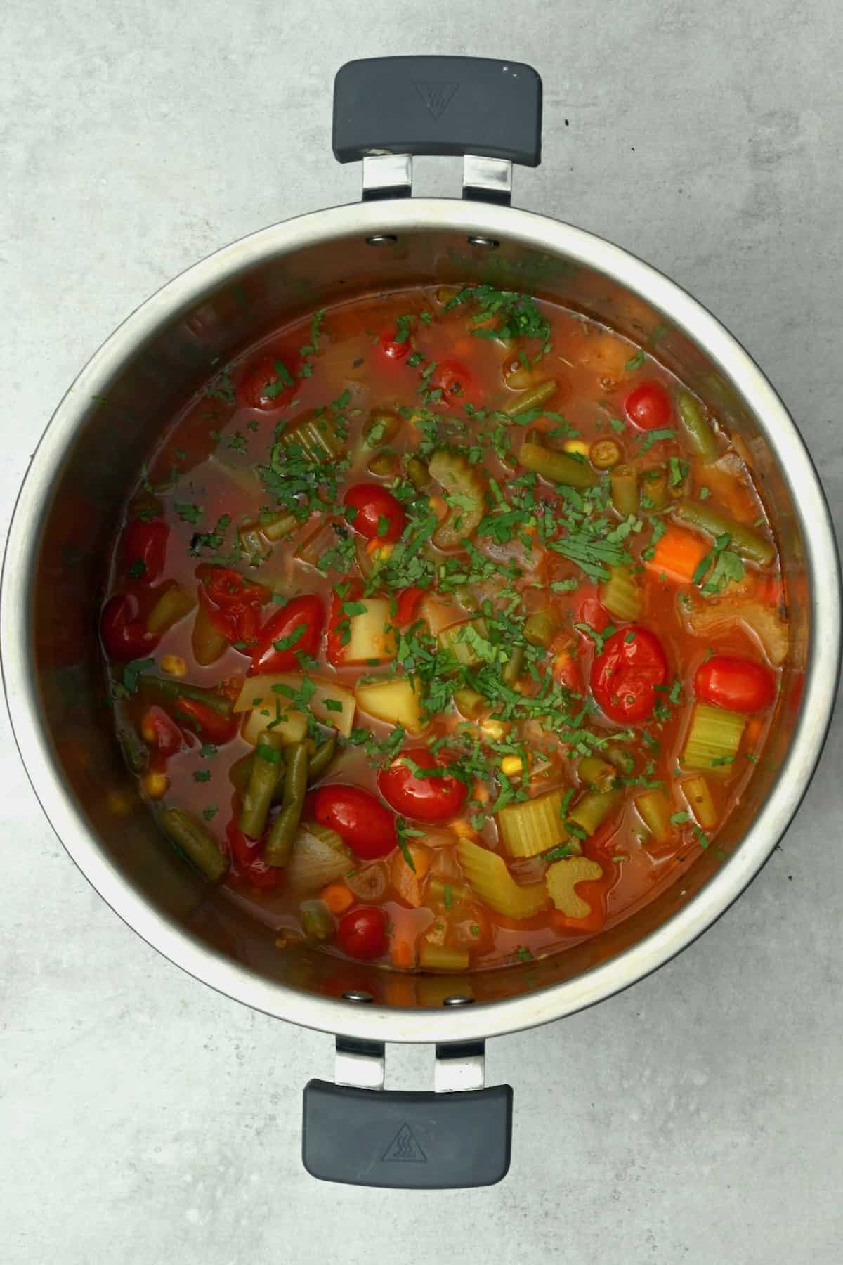 The Best Instant Pot Vegetable Soup - Alphafoodie