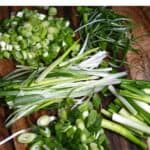 How to Cut Green Onions (5 Easy Steps!) - Evolving Table