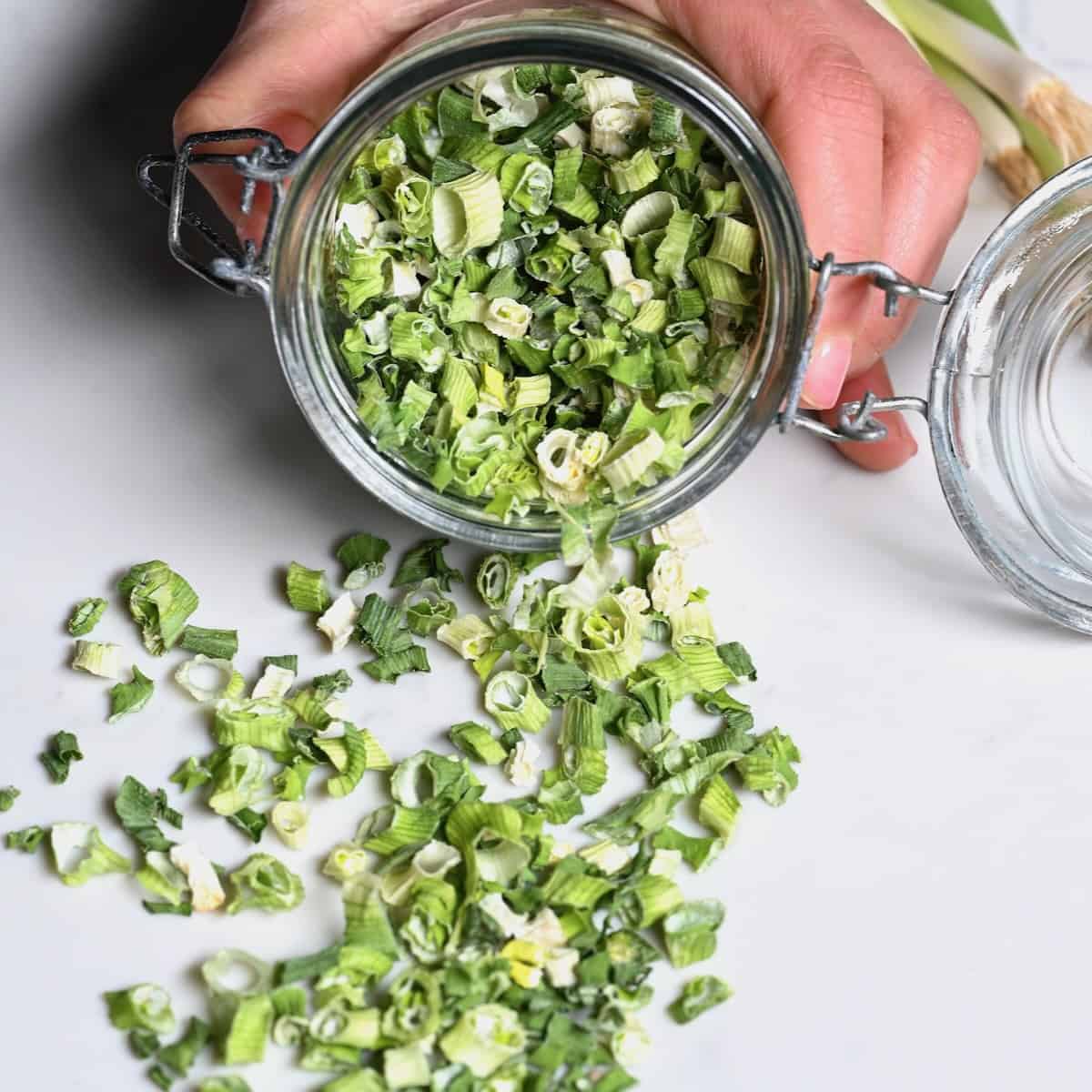https://www.alphafoodie.com/wp-content/uploads/2023/02/How-to-dry-green-onions-square.jpeg