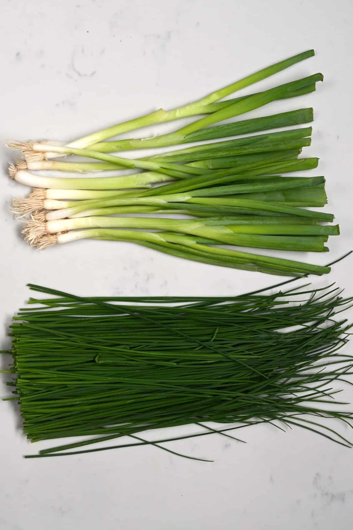 Shallots Vs Spring Onion: Are They The Same Thing?