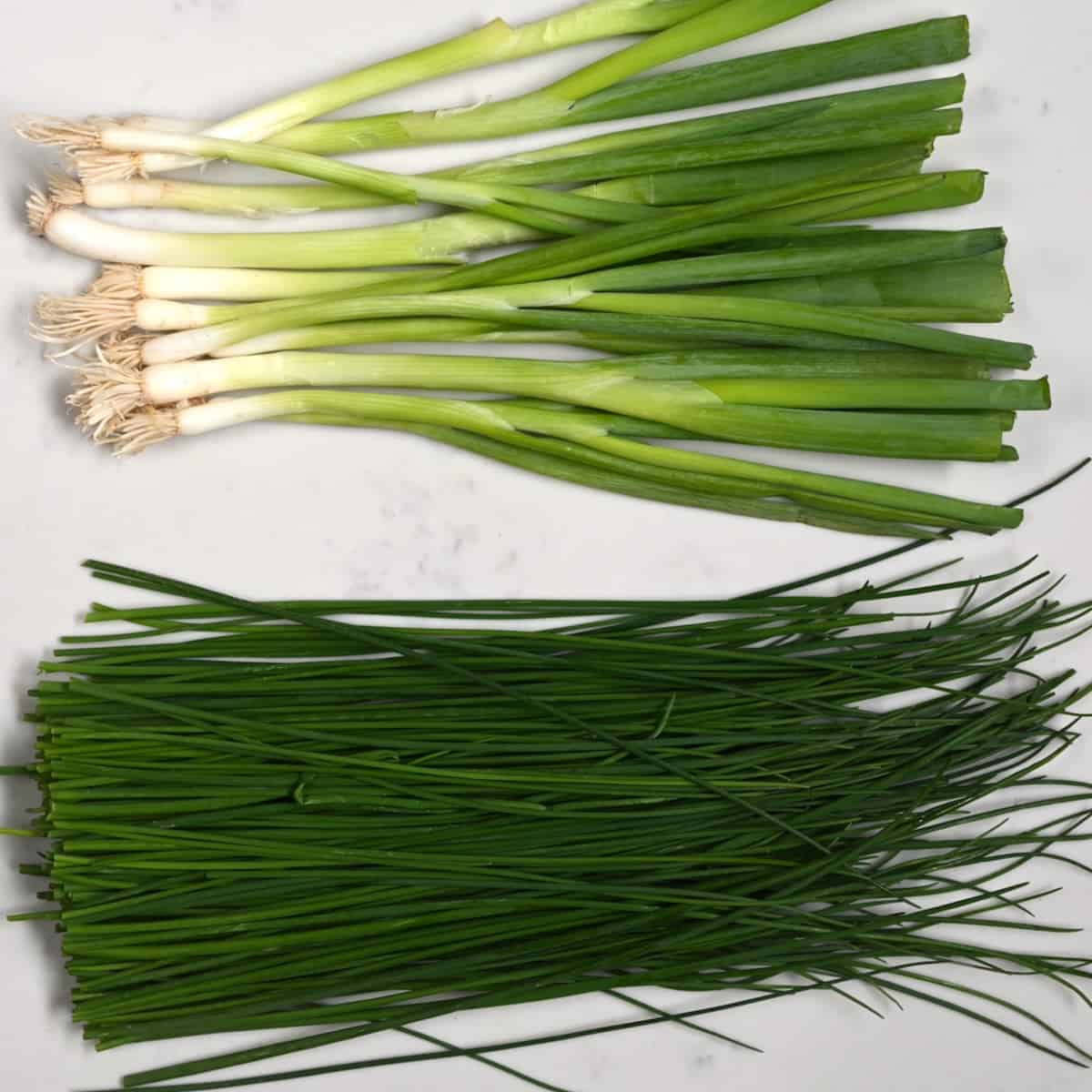 The difference between shallots, green onions, scallions and spring onions