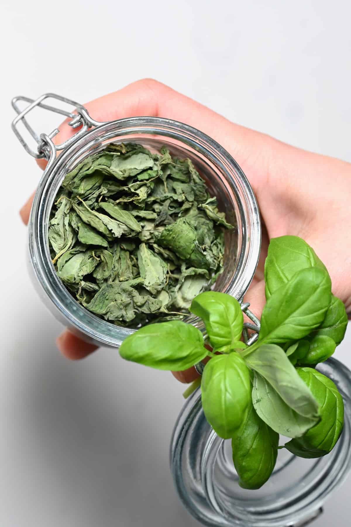 https://www.alphafoodie.com/wp-content/uploads/2023/04/How-to-dry-Basil-Main1.jpeg