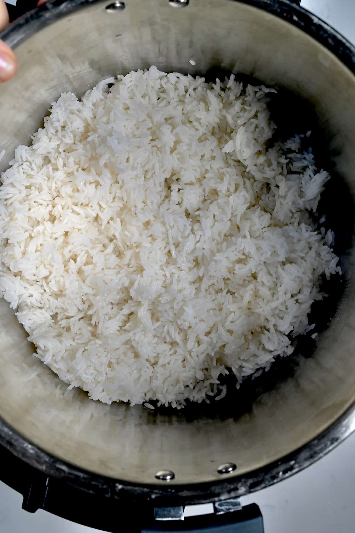 https://www.alphafoodie.com/wp-content/uploads/2023/04/Instant-pot-jasmine-rice-Main-2.jpeg